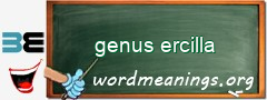 WordMeaning blackboard for genus ercilla